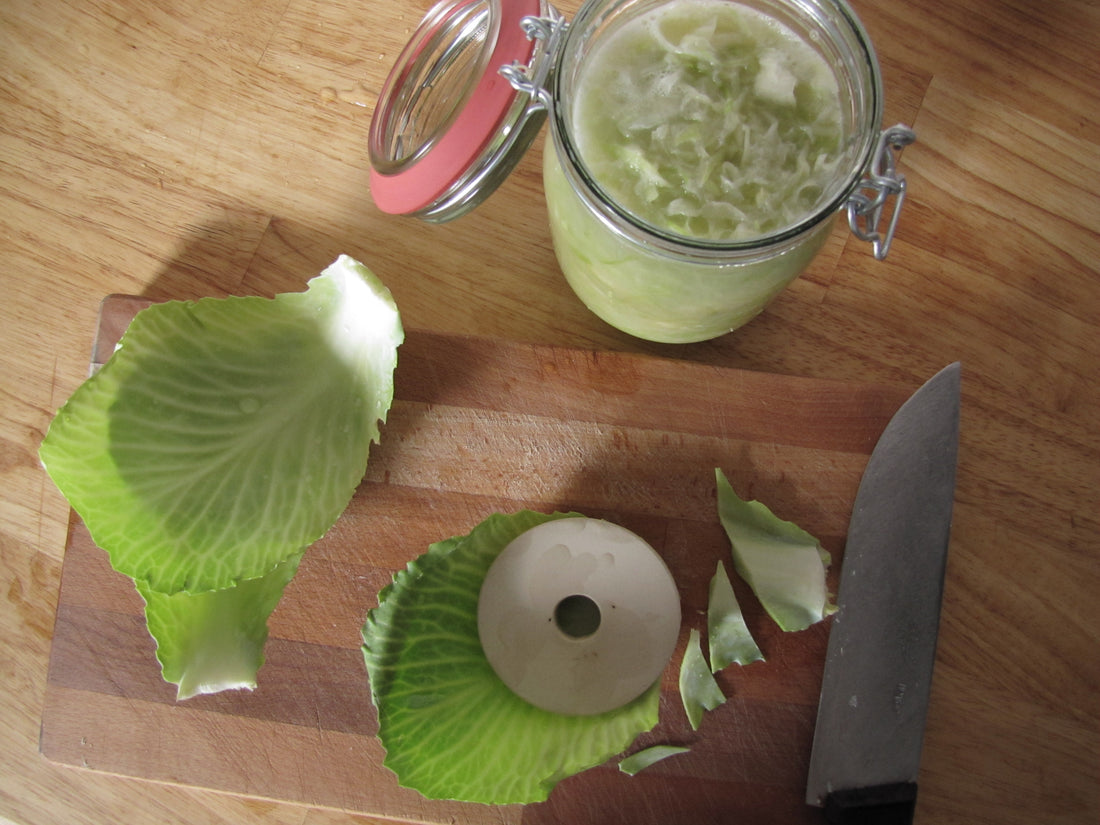 Der Klassiker - Sauerkraut