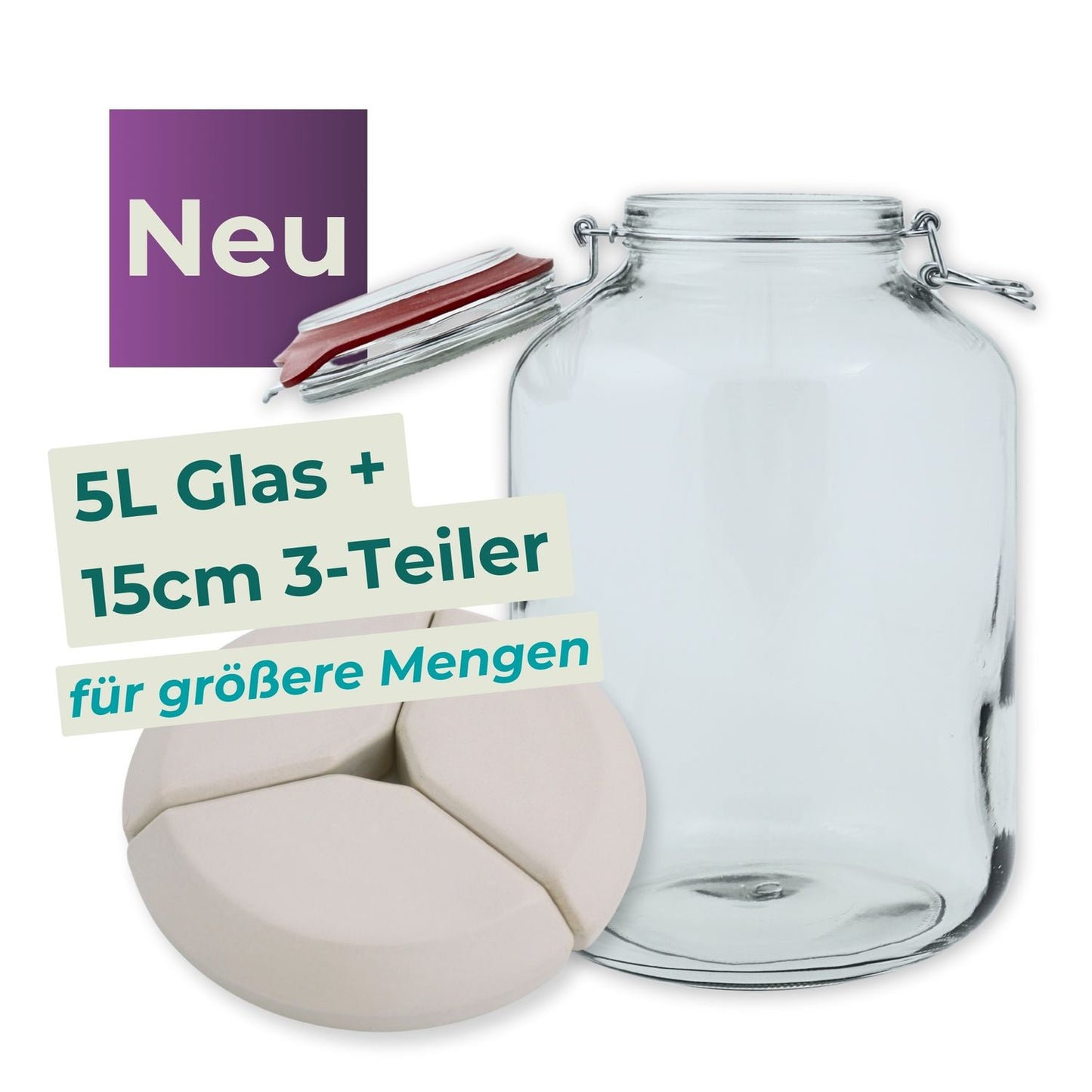 Drahtbügelglas 5L + 15cm Beschwerungsstein